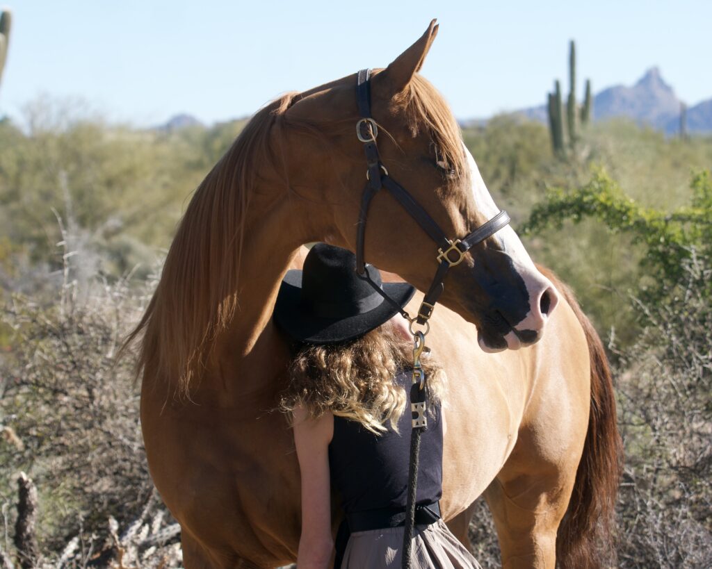 Girl and horse