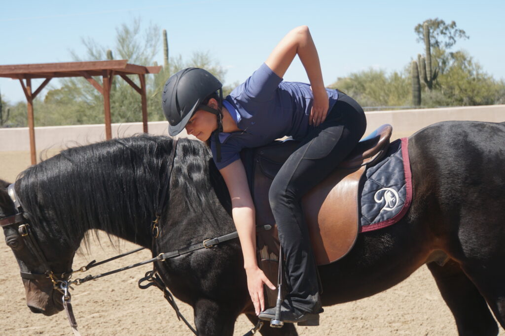 riding lesson school horse