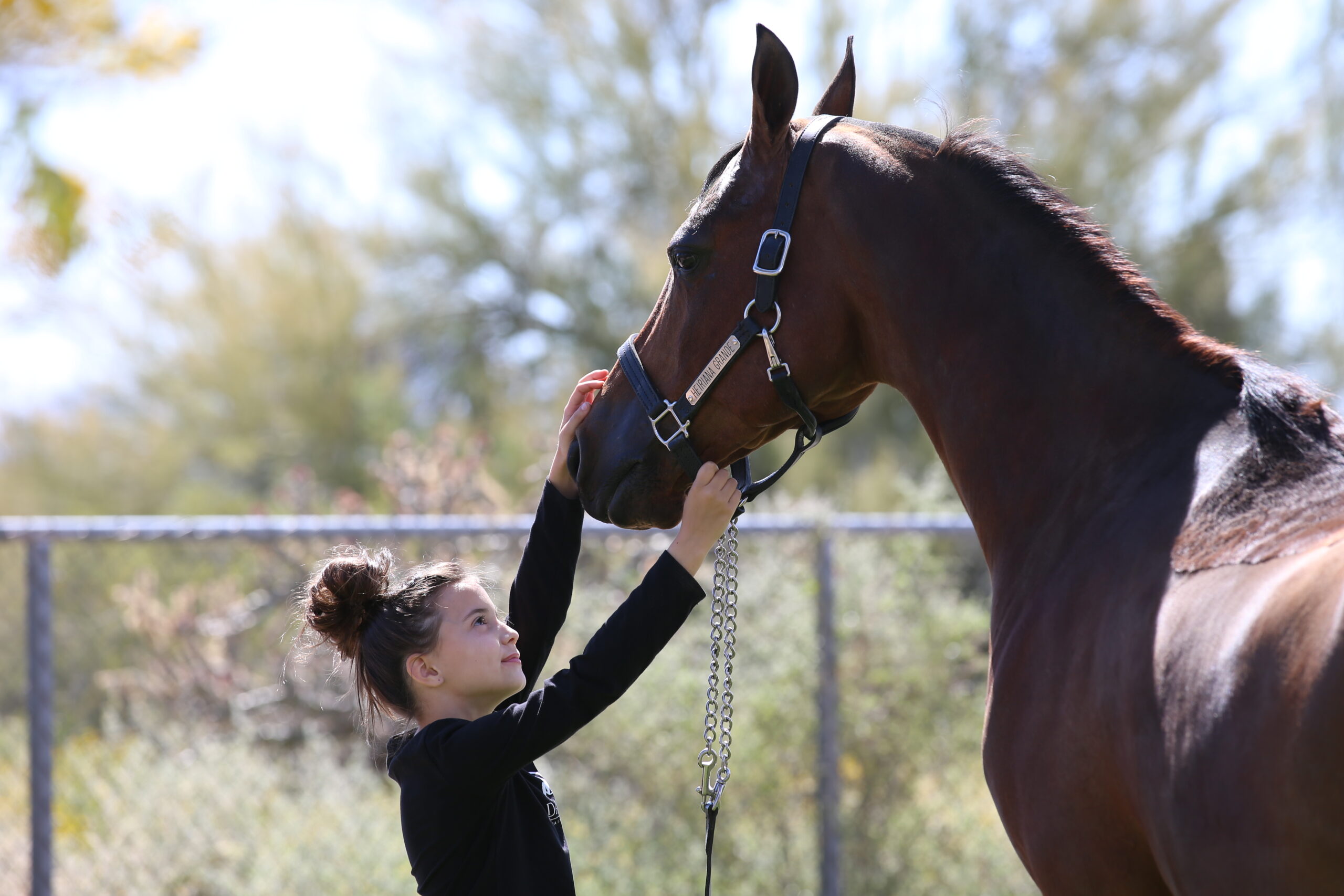 young girl and horse