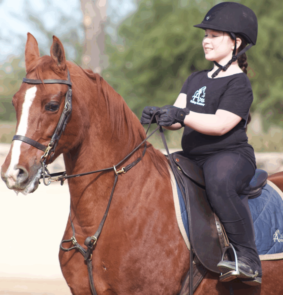 riding lessons